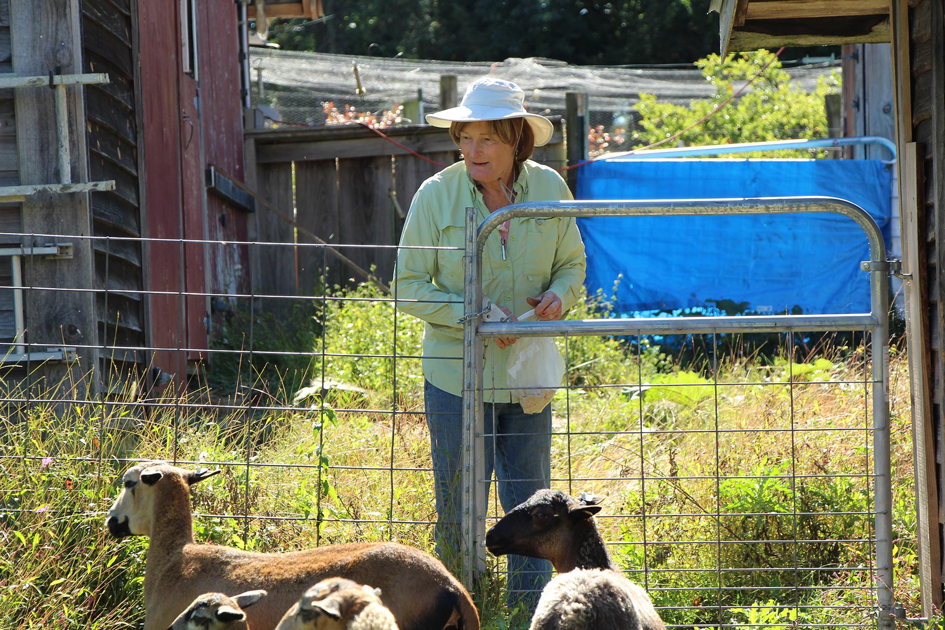 Charliz stands at gate of goat pen