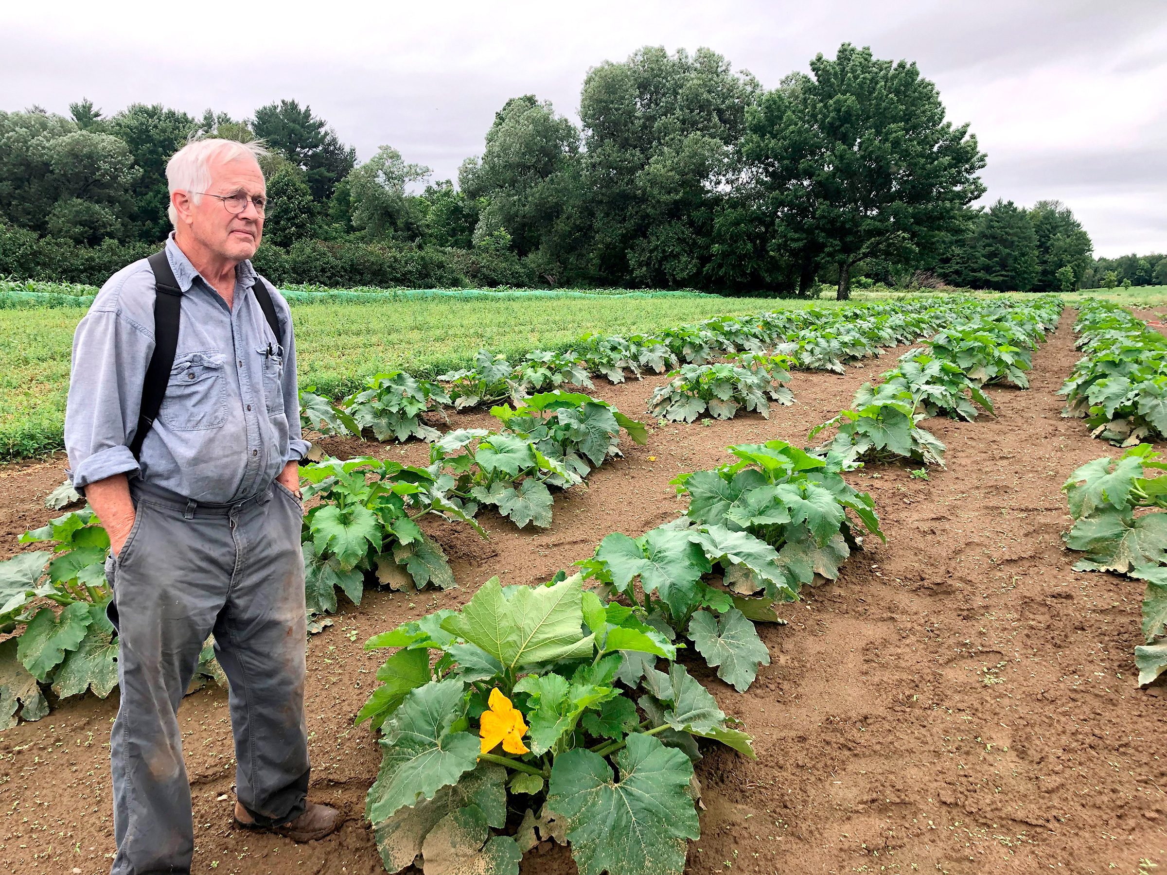 Person standing in field