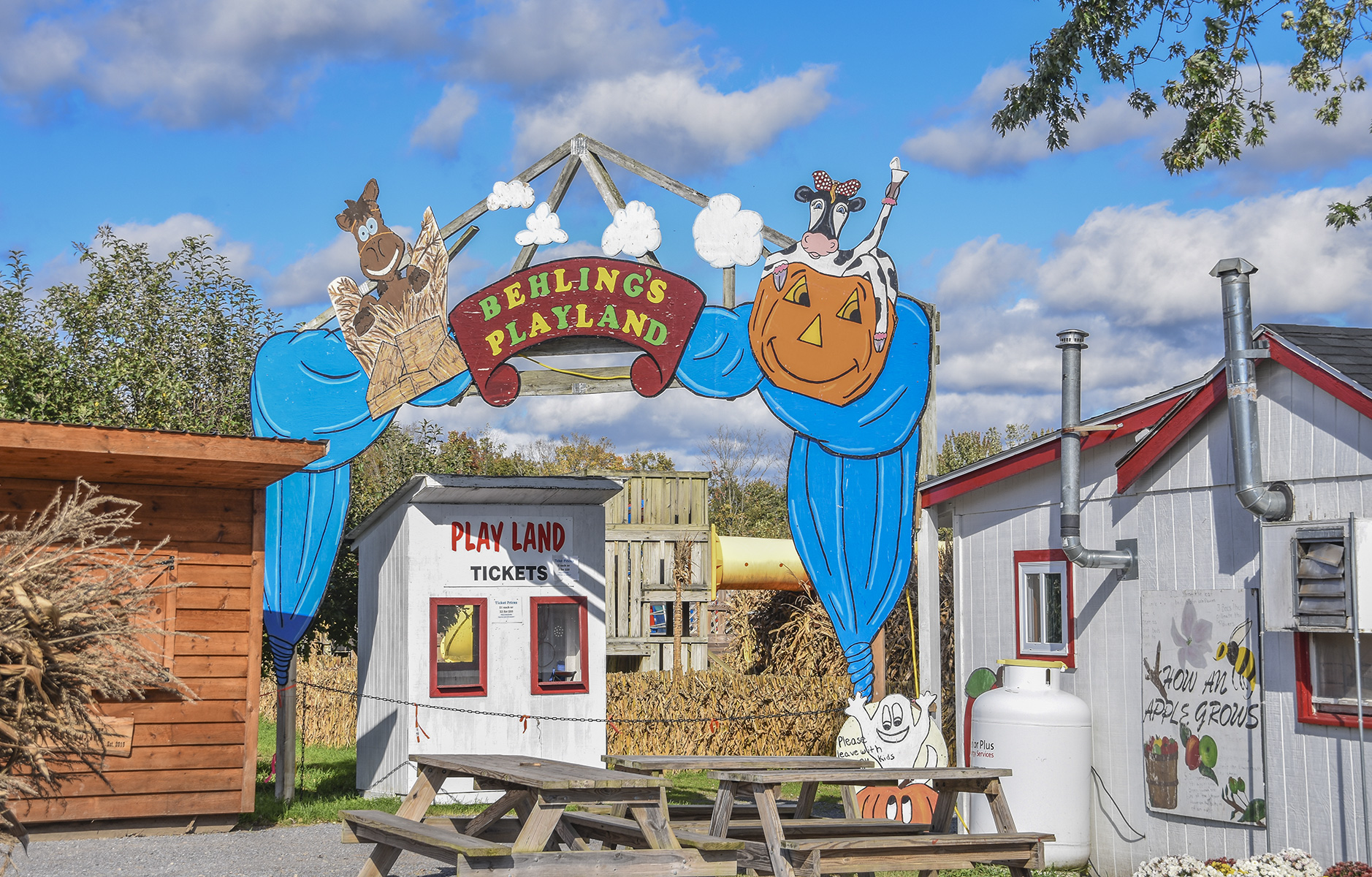 Fall festival signage