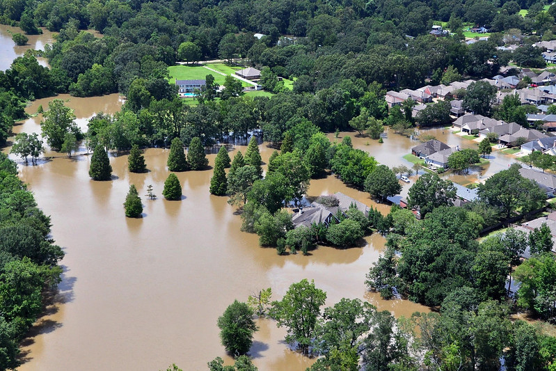 Houses and trees in flooded water