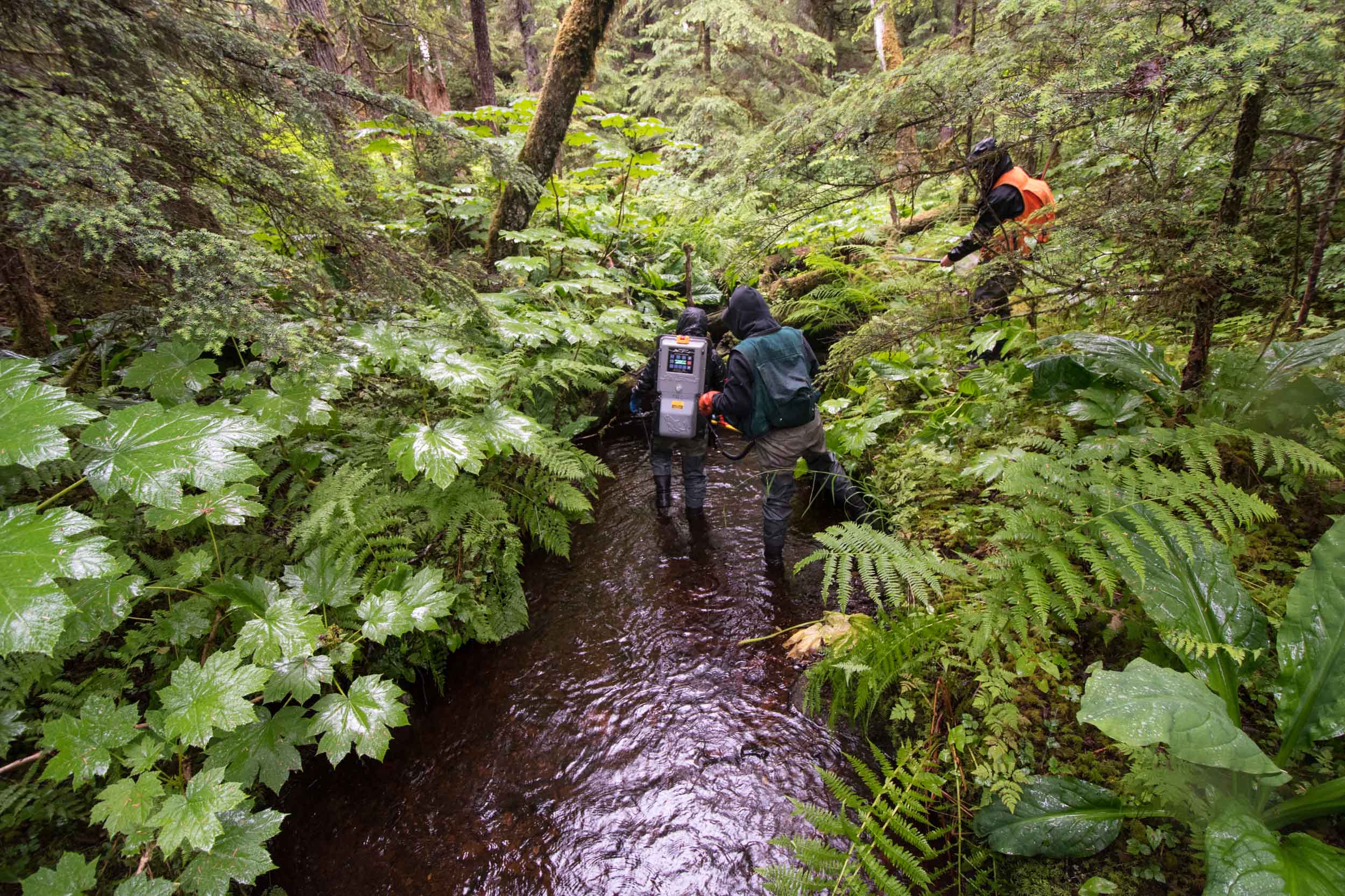 American Indians and Alaska Natives: Honoring their Culture and Contributions to Conservation, Agriculture
