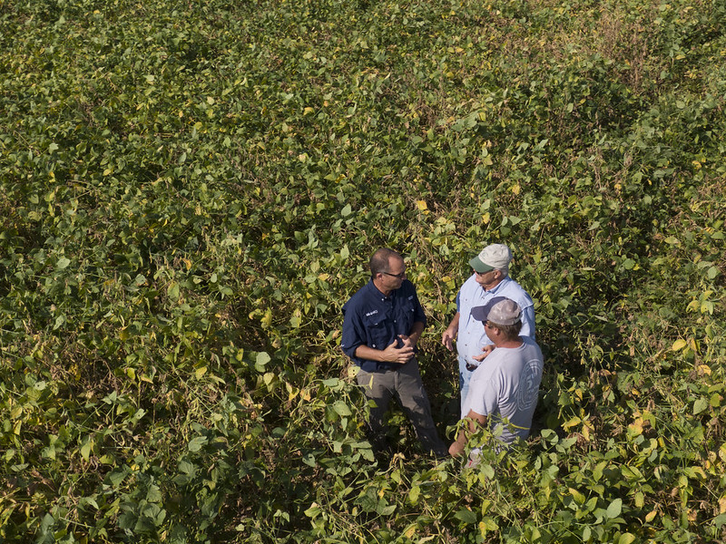 farmers and usda staff in a dense field