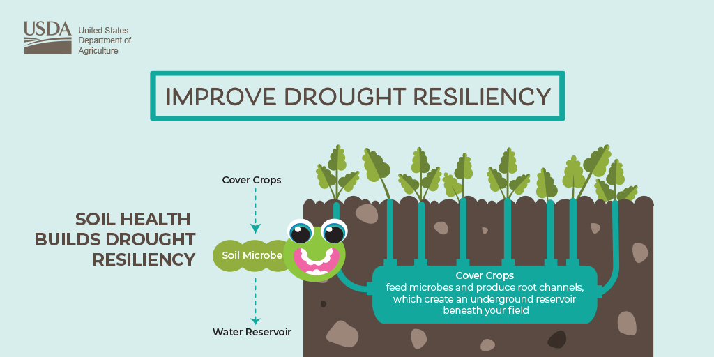 Improve drought resiliency