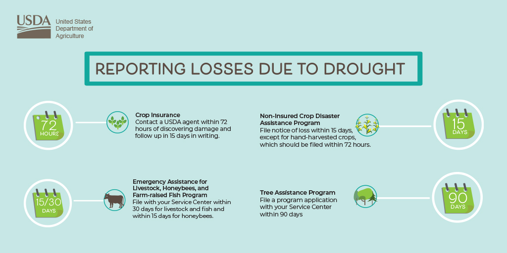 reporting losses as a result of drought