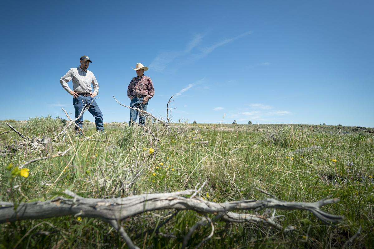 Two people standing in pasture