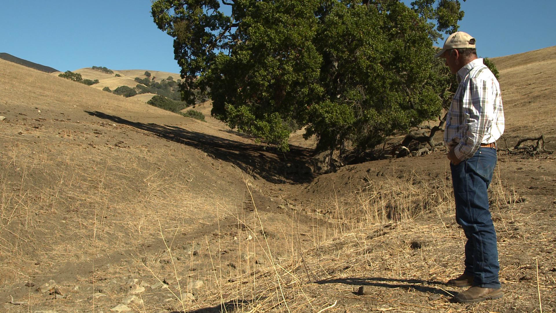 Person looking at drought stricken land