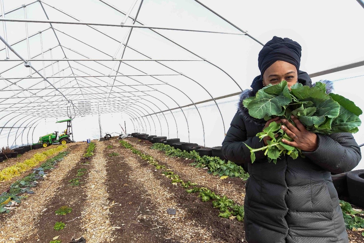 Person standing in greehouse hugging a bundle of green plants