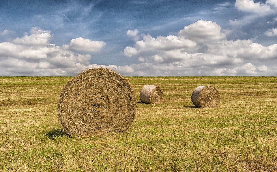 Rolled hay bail on hay land under partly cloudy sky