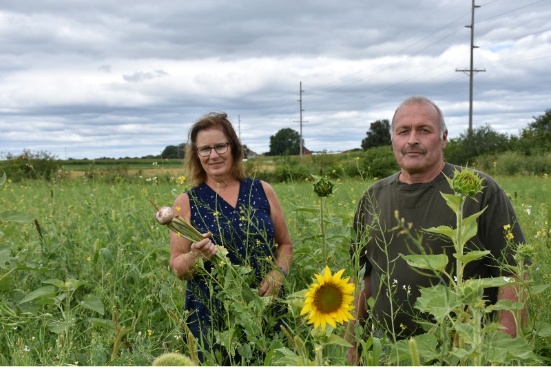 A man and woman standing in their green field with various plants