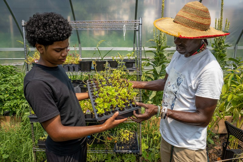 Two people holding plant starts in a green house.