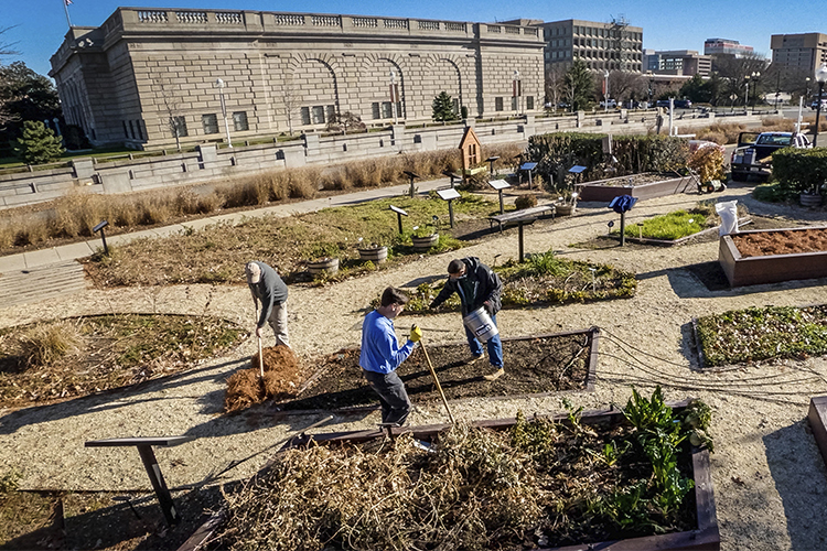 Aerial view of USDA headquarters garden