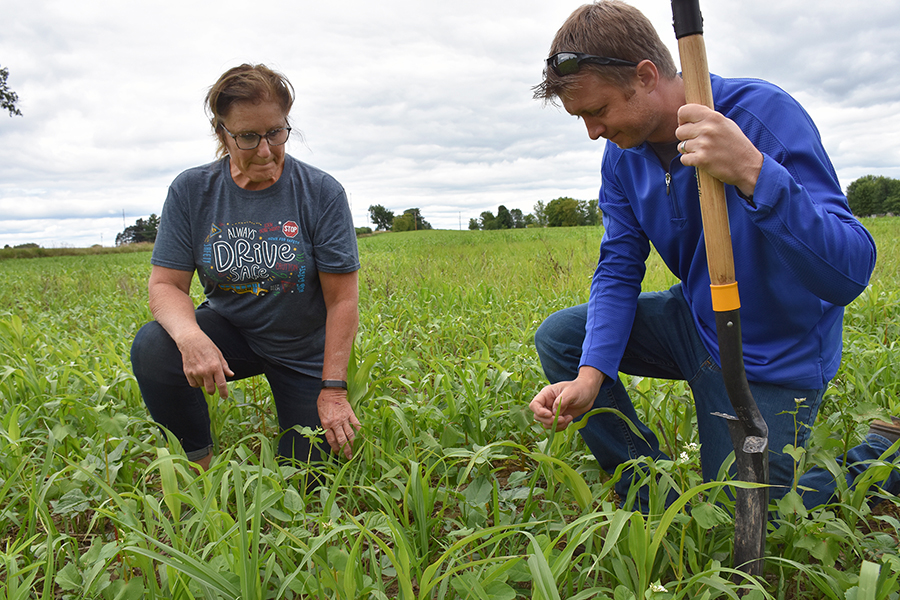 Two people planting seeds