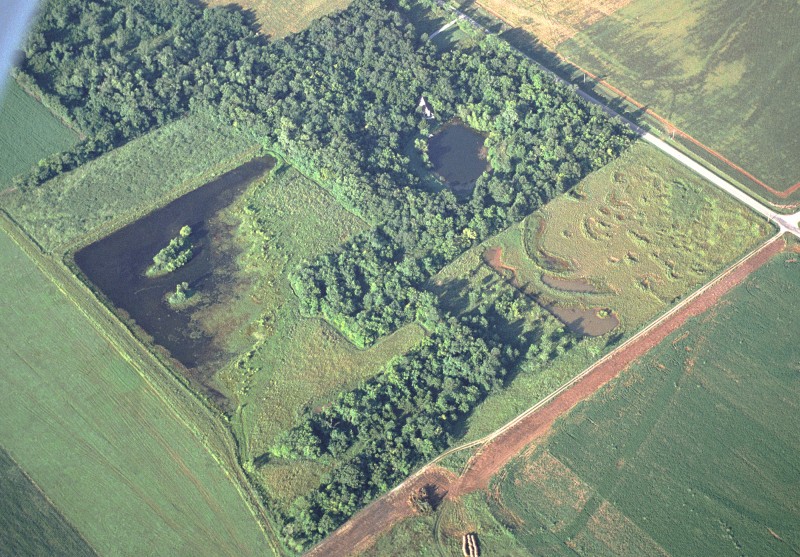 Aerial photo of a green field with some water, a small pond all surrounded by trees. 