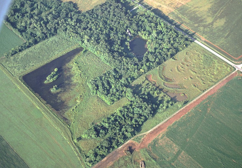 Aerial photo of a green field with some water, a small pond all surrounded by trees.