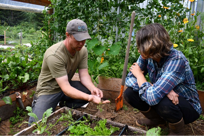 Man and woman kneeling in a garden looking at plant roots.