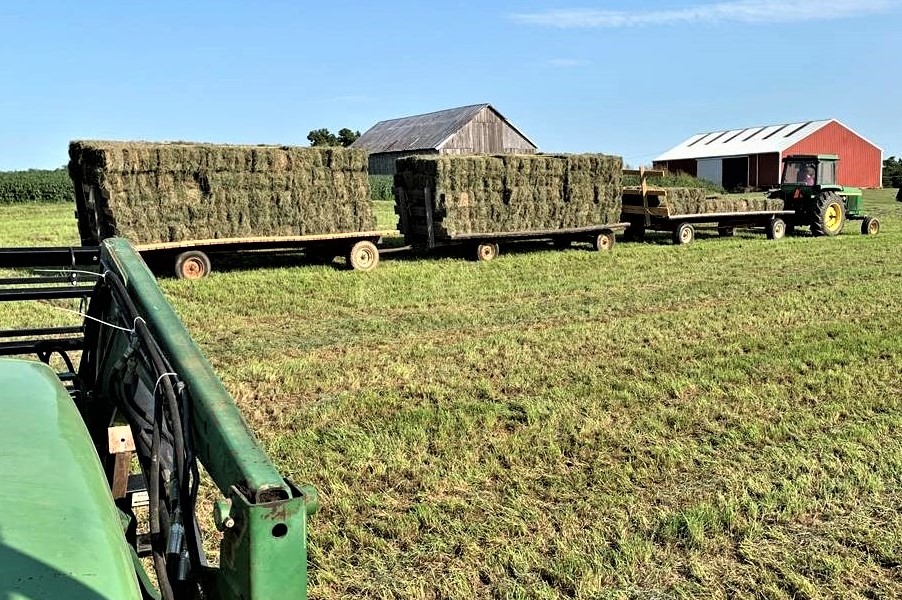Hay bails on trailers being pulled by green tractor