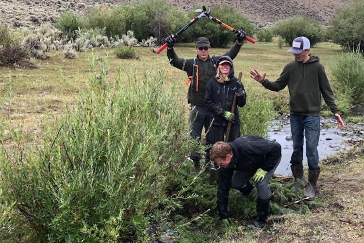 Three people working along stream to clean sagebrush