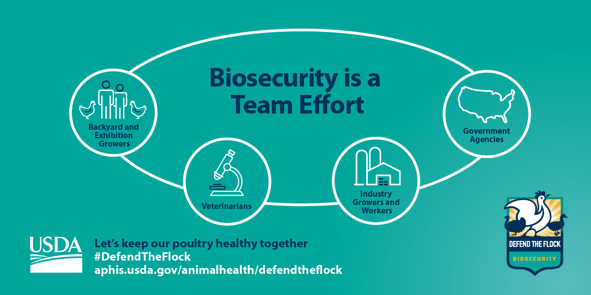 Biosecurity graphic