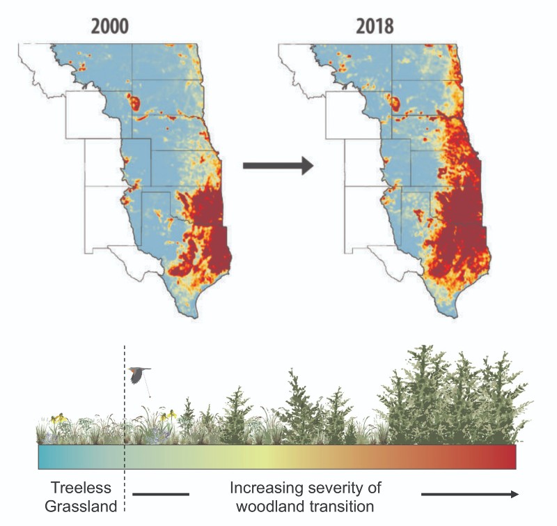 Two pictures of a portion of the USA showing a comparison of numbers of woody plants from 2000 to 2018
