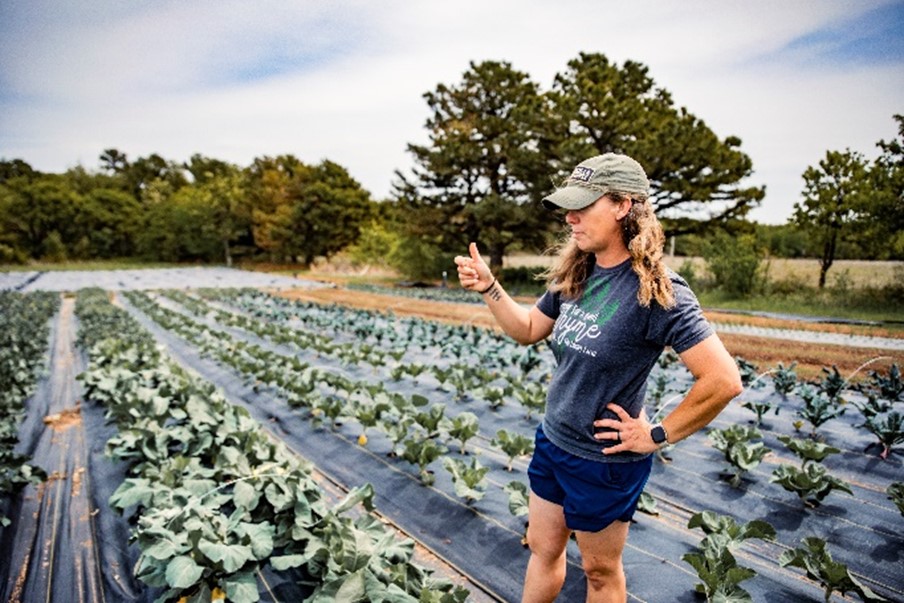 Person standing in field of growing cabbage