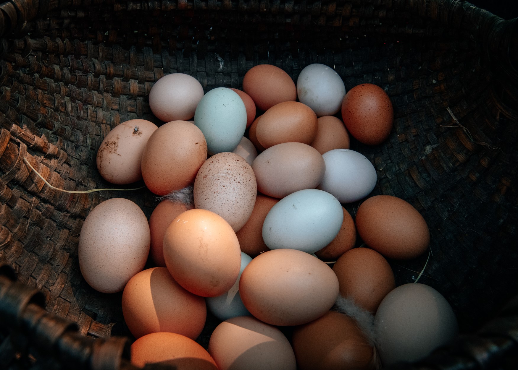 Colored eggs in basket