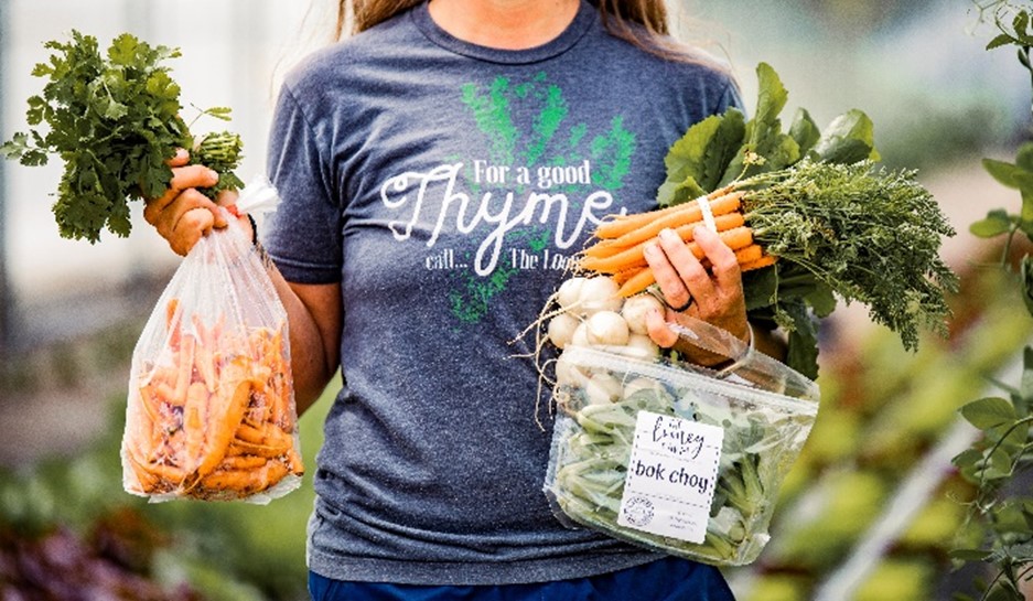 Person holding various harvested vegetables