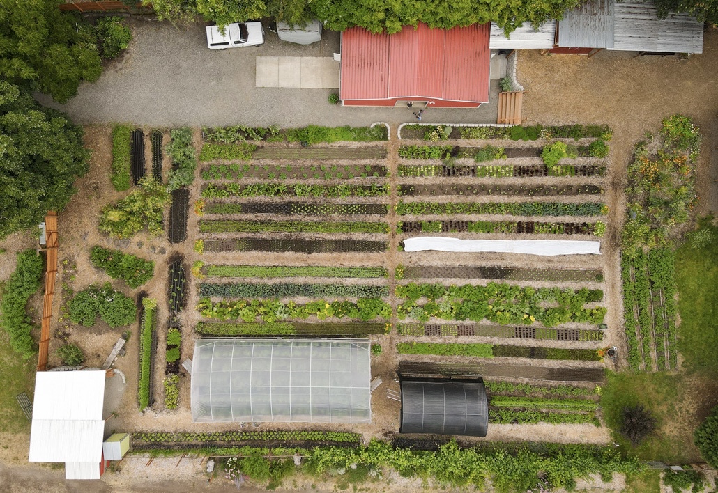 Aerial view of urban garden