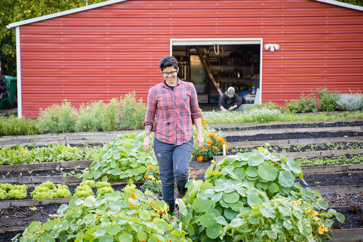 Person standing in the middle of rows of vegetables in urban garden