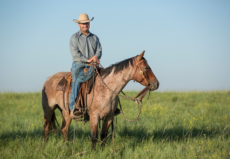 Man wearing cowboy hat sitting horseback in a green pasture. 