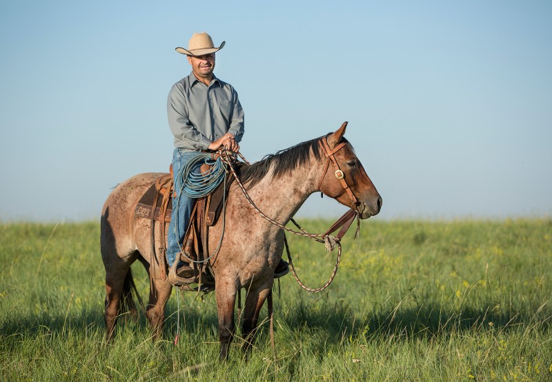 Man wearing cowboy hat sitting horseback in a green pasture.