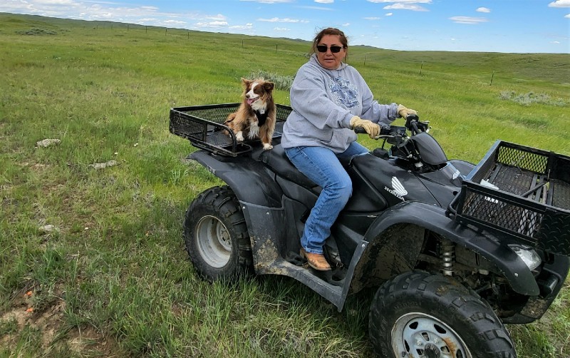 A person and a dog riding on a four wheeler.
