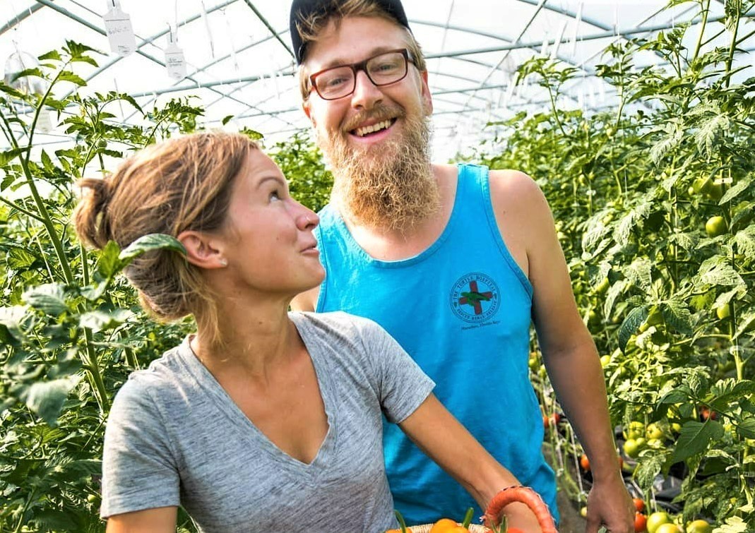 Two people standing in rows of tomato plants inside of a  high-tunnel