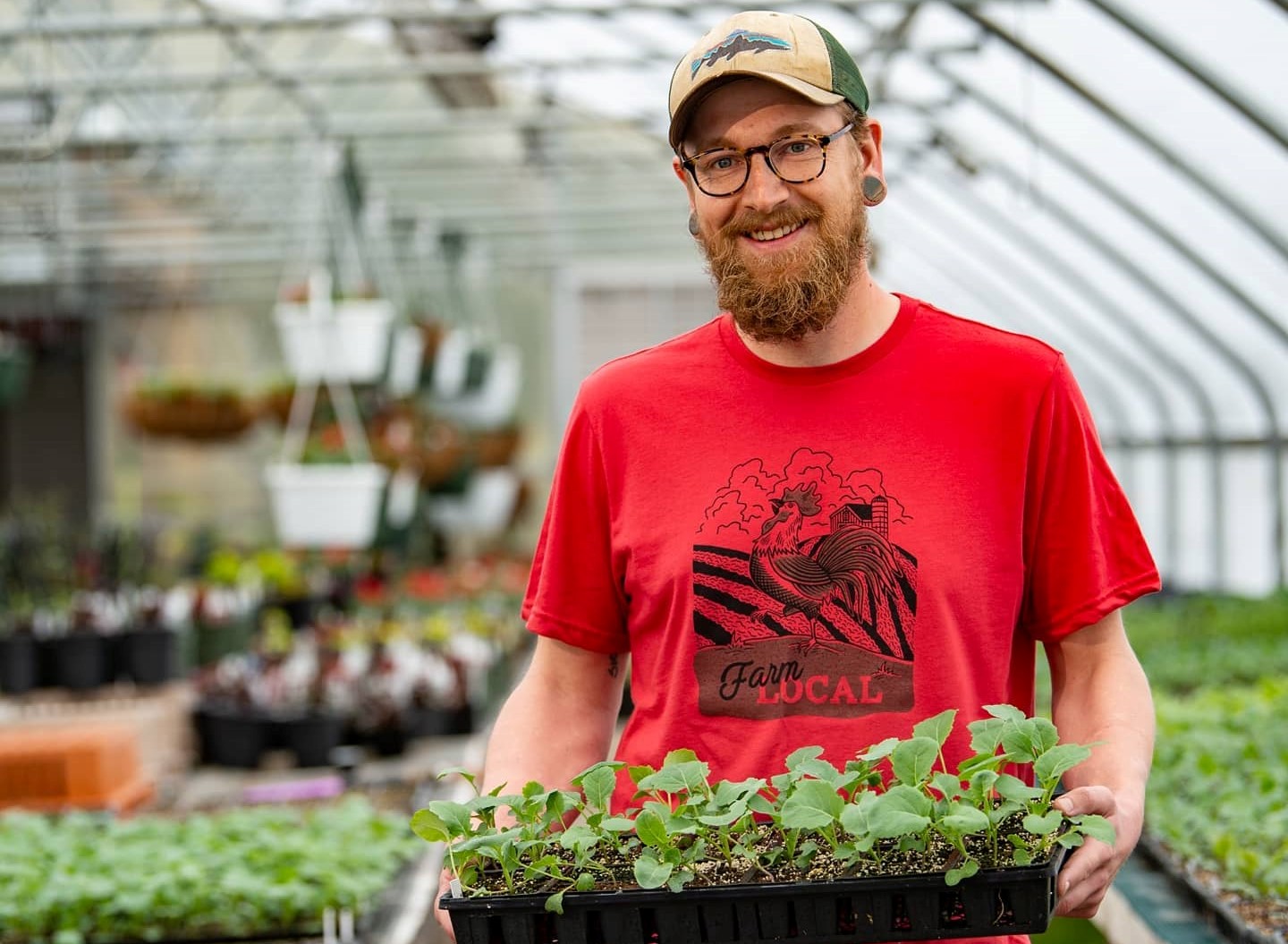 Person in high-tunnel holding seedling plants