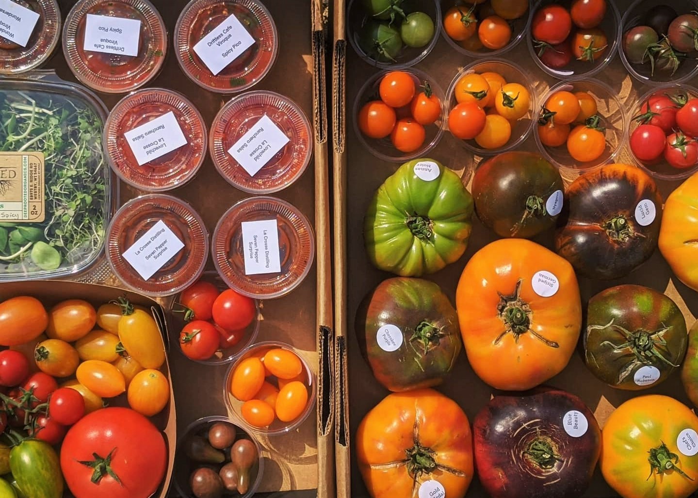 Large and small tomatoes for sitting in carboard boxes