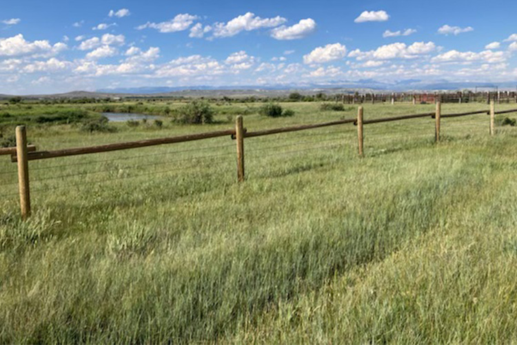 Barbed wire fence running through a rolling hills in a field