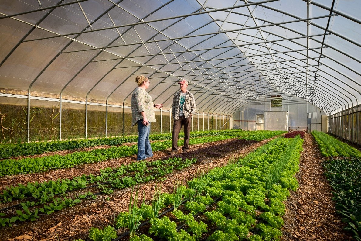 Two people standing in high tunnel green house