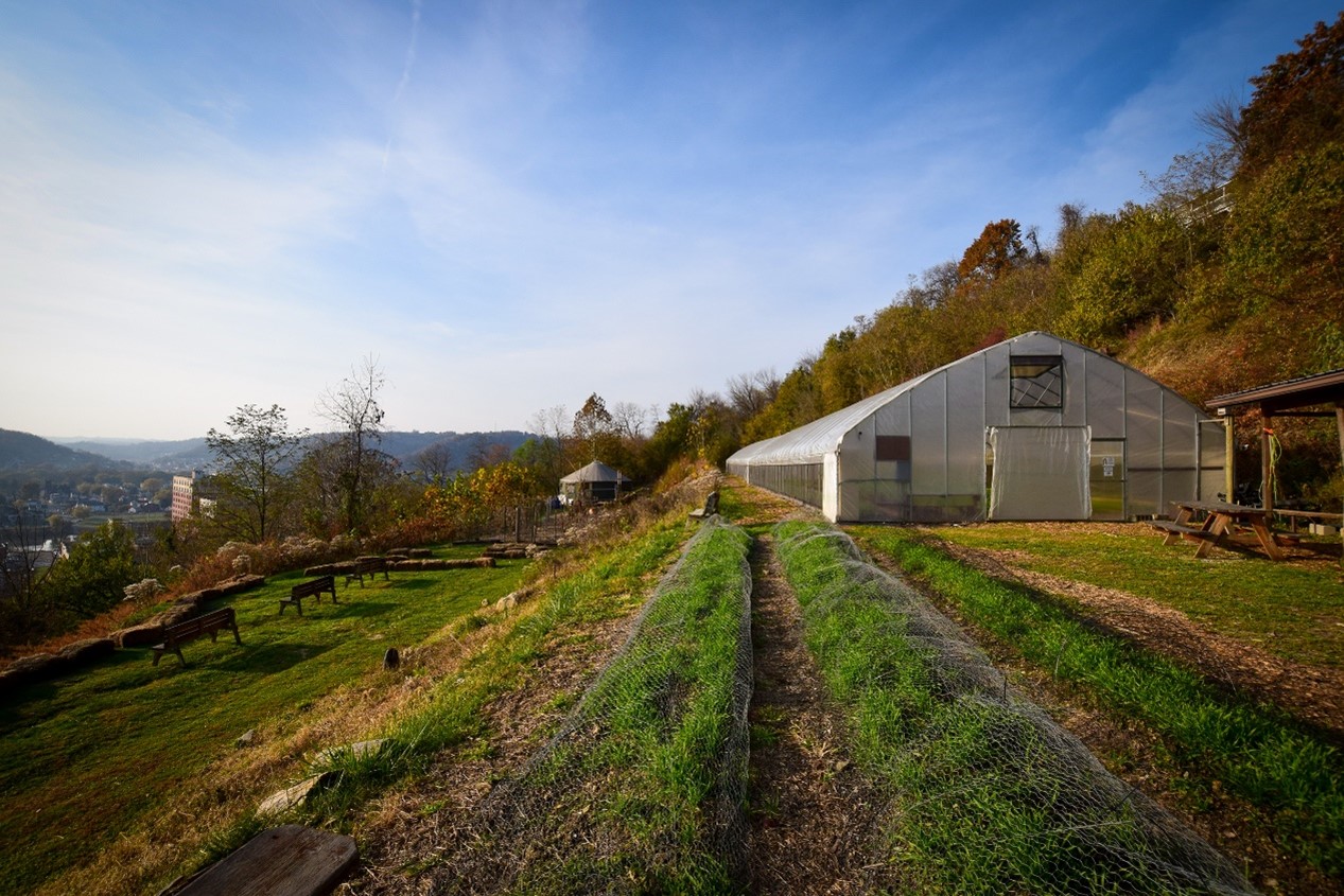 Outside view of high tunnel green house