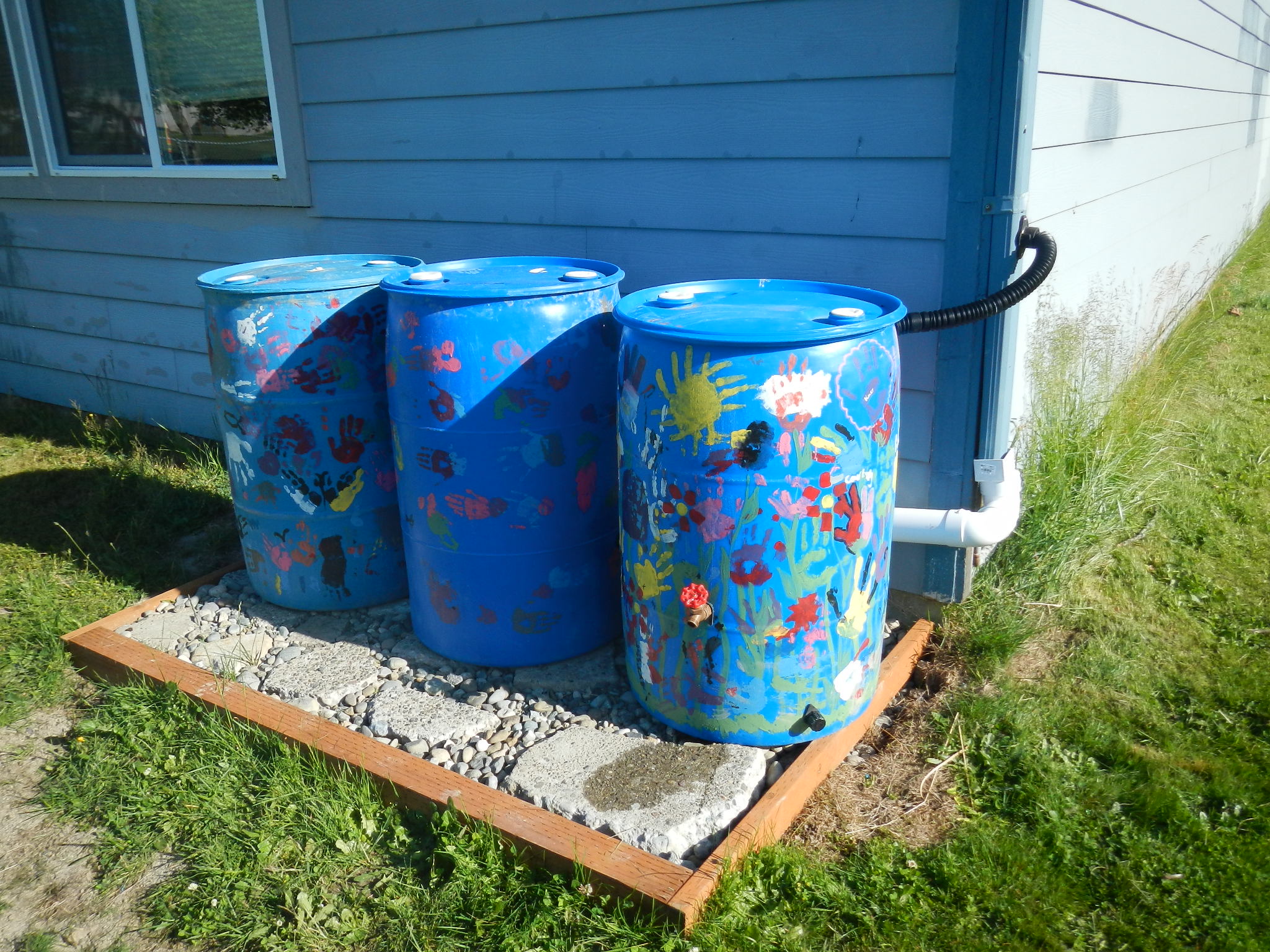 Blue rain barrels