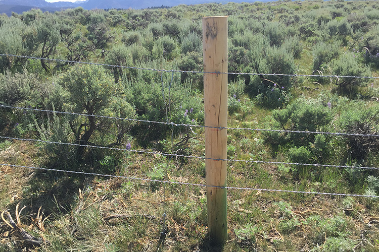 Barbed wire running over wood fence post