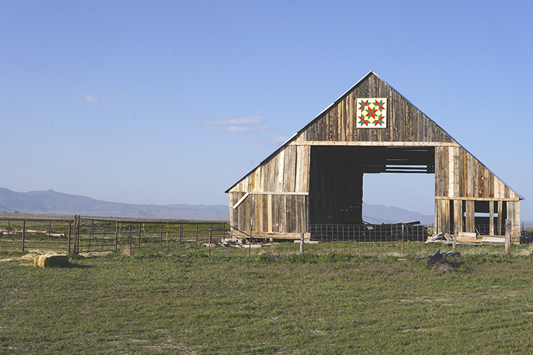 barn sitting in grassland