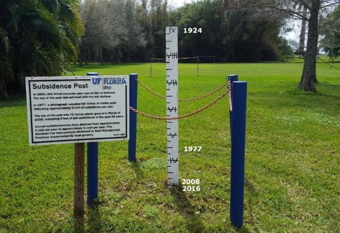 sunken soil and a measuring stick showing certain years measurements