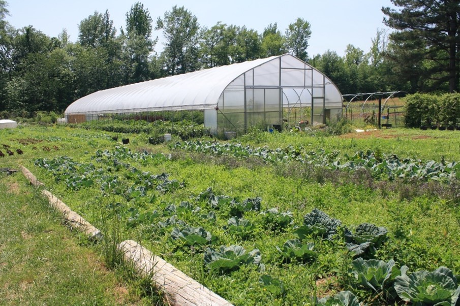 High tunnel sitting in green field