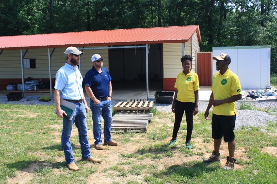 Four people standing in field talking to each other