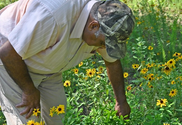 Person looking at flower growing in grassy area