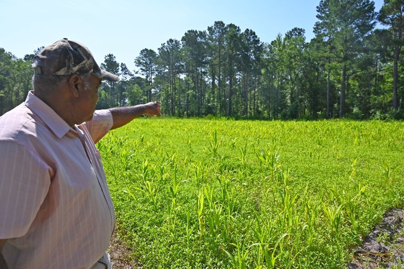 Person pointing into distance towards trees