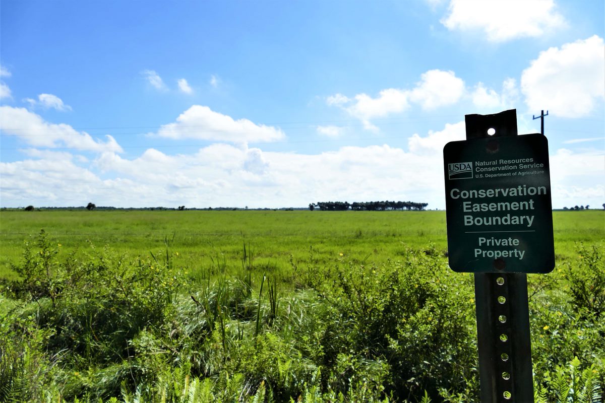 Conservation easement boundary sign in pasture land