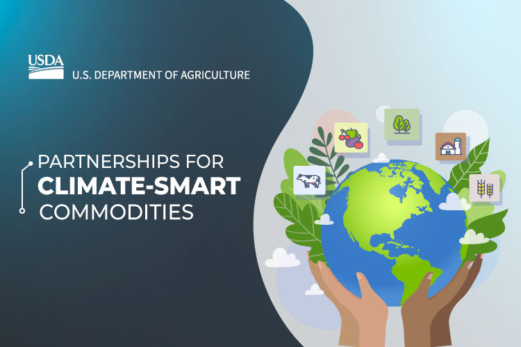 Graphic depicting partnership for climate commodities