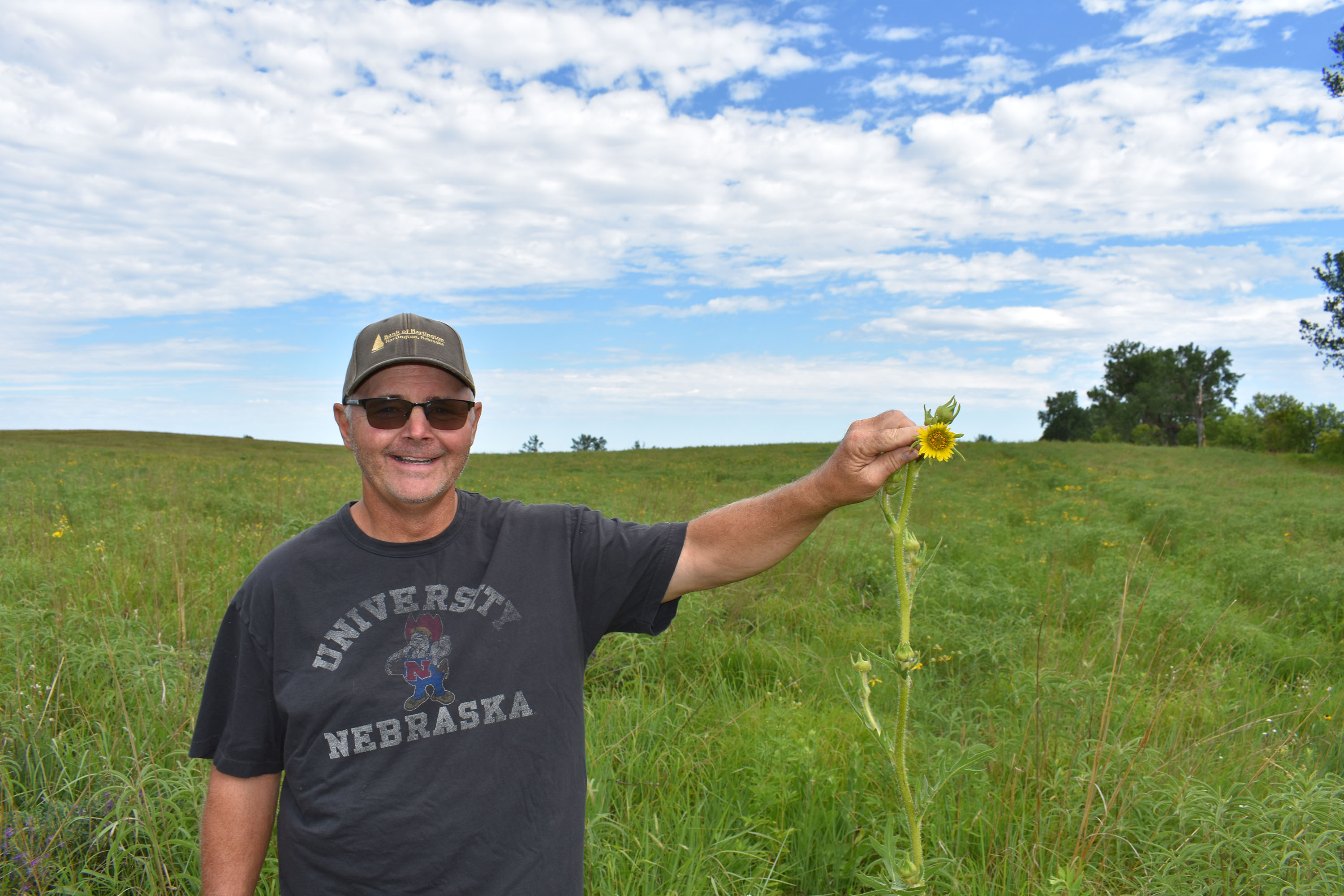 Person showing a wildflower in a field