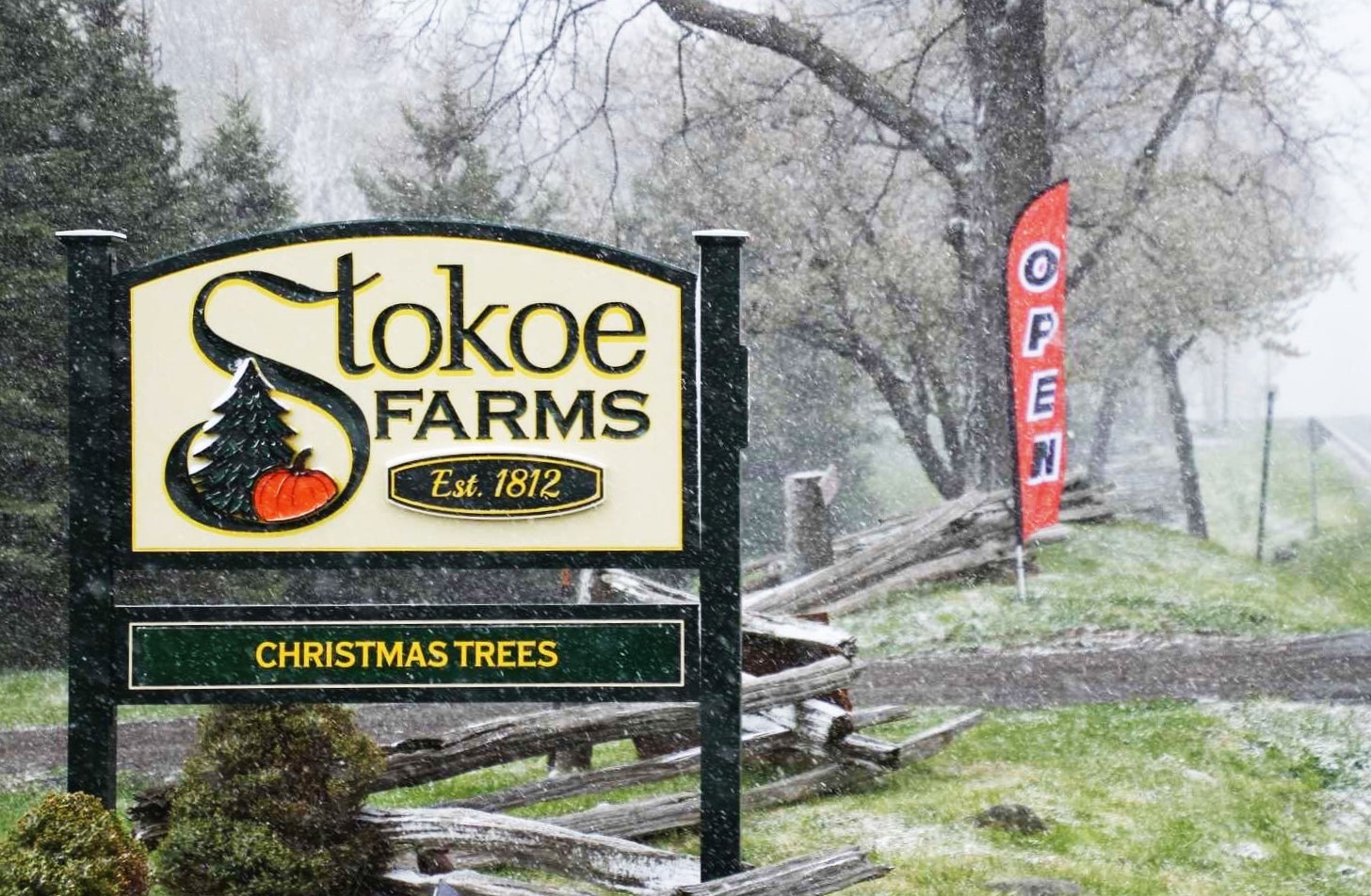 Stokoe Farms sign