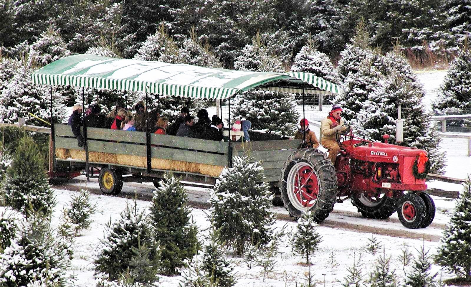 Red tractor pulling passenger trailer